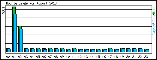 Hourly usage