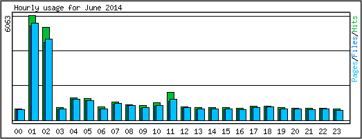 Hourly usage