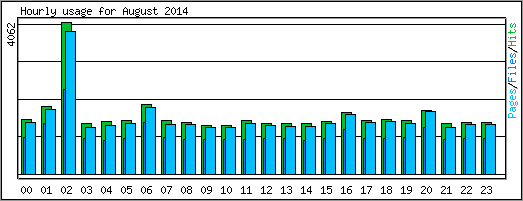 Hourly usage