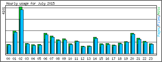 Hourly usage