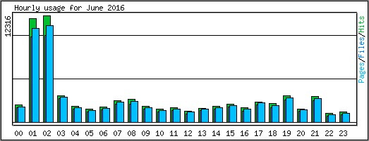 Hourly usage