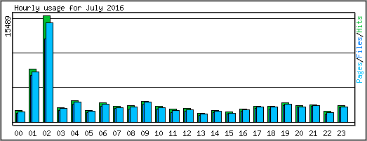 Hourly usage