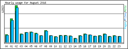 Hourly usage
