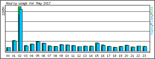 Hourly usage