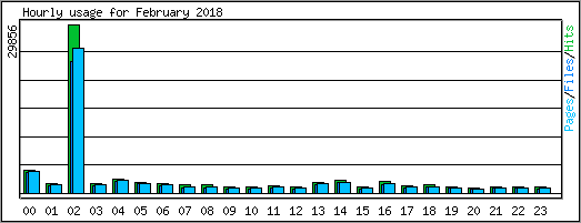 Hourly usage