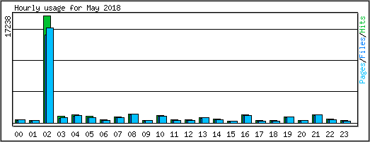 Hourly usage