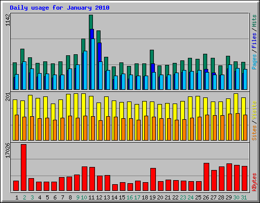 Daily usage for January 2010
