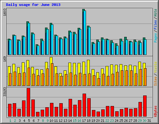 Daily usage for June 2013
