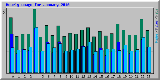 Hourly usage for January 2010