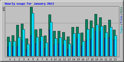 Hourly usage for January 2013