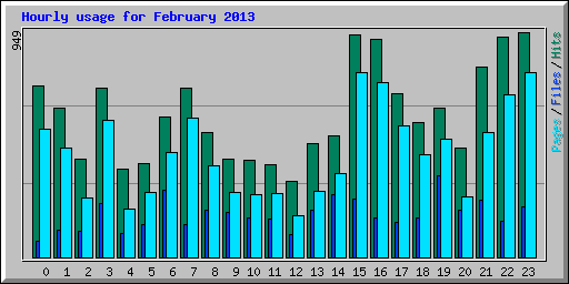 Hourly usage for February 2013