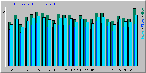 Hourly usage for June 2013