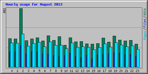 Hourly usage for August 2013