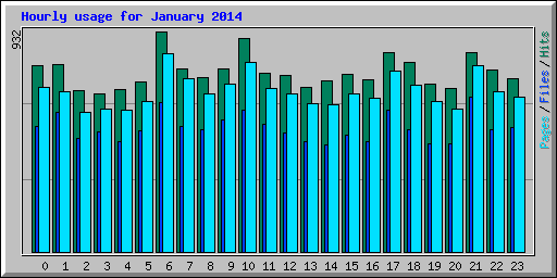 Hourly usage for January 2014