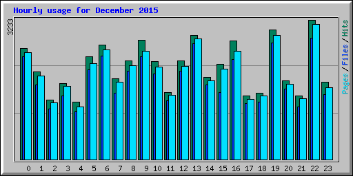 Hourly usage for December 2015