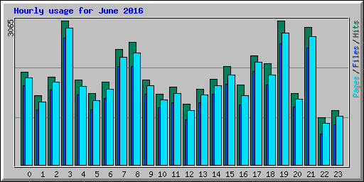 Hourly usage for June 2016