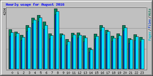 Hourly usage for August 2016