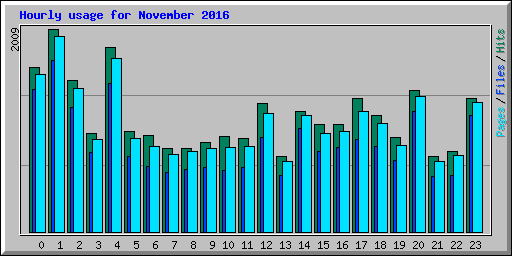 Hourly usage for November 2016