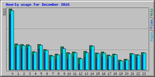 Hourly usage for December 2016